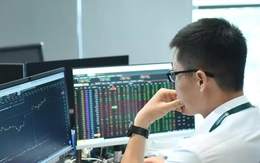 Chứng khoán gây bất ngờ sau 2 phiên giảm mạnh