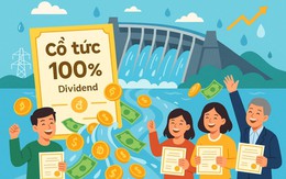 Một công ty thuỷ điện muốn trả cổ tức tiền mặt tỷ lệ 100%