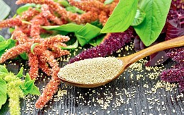 Tiết lộ bất ngờ về loại carb "tốt nhất thế giới" - không phải gạo lứt