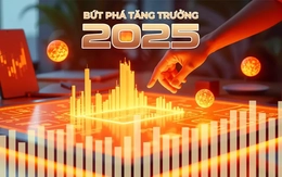 Xuất hiện 'ngôi sao' mới, xếp hạng tăng trưởng biến động ra sao?