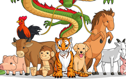 1 tuần nữa có 2 con giáp bước vào thời kỳ huy hoàng, giàu có viên mãn, 1 con giáp lại cần thận trọng