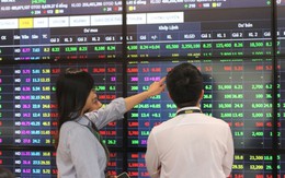 Chứng khoán tuần qua: Tâm điểm cổ phiếu Big4, dầu khí; VN-Index lập đỉnh lịch sử