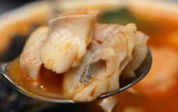 Loại cá nằm trong top 10 cá ngon nhất thế giới, giúp bạn trông trẻ hơn, chống lão hóa, làm săn chắc da