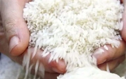 Giá gạo Nhật Bản lập kỷ lục mới