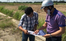 Bán đất được 3 tỷ, tôi sợ bị vay mượn nên nói dối trả nợ cho vợ, kết quả ngoài sức tưởng tượng