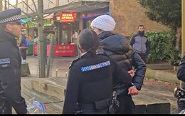 Người phụ nữ bị cảnh sát lục soát người, bắt giữ vì cho chim bồ câu trên phố ăn