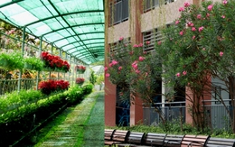 Trường công lập gì mà như resort thế này? Góc nào cũng đầy chất thơ khiến hơn 5 nghìn người phải vào xuýt xoa hết cỡ