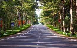 Từng "sôi sục" vì sốt đất và được ví như Đà Lạt thứ 2 của Tây Nguyên, nơi đây vừa đấu giá thành công 40 lô đất với mức chênh hơn 20% so với giá khởi điểm