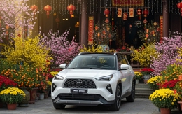 Phí trước bạ ô tô tăng bất thường ở Đà Nẵng, cơ quan thuế nói do sơ suất