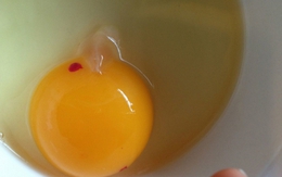 Đi chợ thấy 4 loại trứng này thì giá rẻ mấy cũng đừng mua: ăn vào đau bụng, ngấm ngầm hại thân