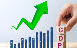 Bức tranh kinh tế Việt Nam năm 2025 và dự báo năm 2026