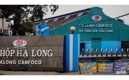 NÓI THẲNG: Patê 'bẩn' của Hạ Long Canfoco và những người không thể vô can