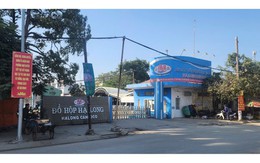 Kiểm tra Công ty Đồ hộp Hạ Long, 3 năm không phát hiện sai phạm