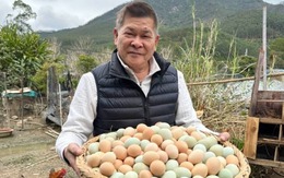 Nam diễn viên cả nước biết mặt phá sản vì món nợ 191 tỷ, nay về quê bán trứng, trái cây đầy chua xót