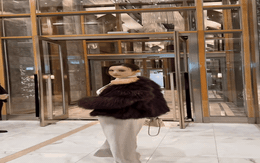 Ở Việt Nam có một phú bà chơi rất nét: Xây biệt thự dưỡng già với bạn thân, U40 chồng chăm như em bé