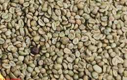 Giá cà phê hôm nay 14-1: Tăng đồng loạt, Brazil xuất khẩu giảm sâu