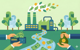 Một công ty giấy chốt ngày chi trả cổ tức tiền mặt tỷ lệ 30%