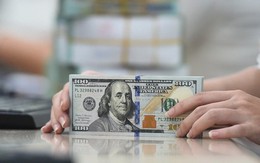 Cập nhật thị trường tiền tệ 14/1: Tỷ giá USD tự do giảm mạnh, Ngân hàng Nhà nước tiếp tục hút ròng VND