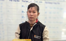 Tiến hành khám xét khẩn cấp chỗ ở của Trương Thị Trúc Ly