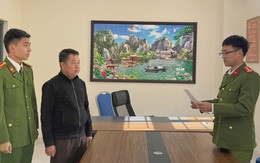 Một giám đốc bị  khởi tố