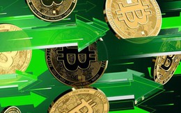 Thị trường tiền số ngày 14-1: "Cháy" hơn 120.000 tài khoản vì giá Bitcoin tăng sốc