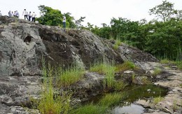 Ngọn núi ở TP.HCM cao hơn 10m: Được ví như "núi dễ leo nhất Việt Nam", xung quanh là hệ sinh thái hiếm có