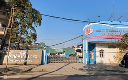 Vụ Đồ hộp Hạ Long: Phát hiện hành vi đưa, nhận hối lộ để cấp giấy kiểm dịch