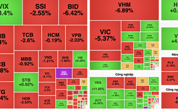 Chuyên gia chỉ ra nguyên nhân khiến VN-Index mất hơn 42 điểm chỉ trong buổi sáng