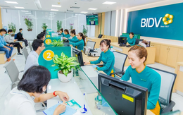 Những "cá mập" nào sẽ mua 264 triệu cổ phiếu phát hành thêm của BIDV?