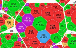 VN-Index giảm sâu sau đợt tăng mạnh, cổ phiếu có vốn nhà nước có còn dẫn sóng?