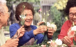 Sau nghỉ hưu, cả tin khi tham gia các nhóm người cao tuổi: Cái giá phải trả không hề nhỏ