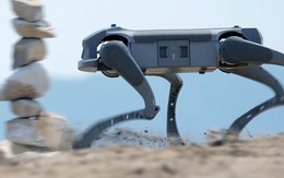 Sự thật về công ty Mỹ vừa tuyên bố đưa Việt Nam thành cứ điểm sản xuất chó robot