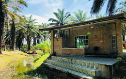 Chưa già đã kiệt sức, giới trẻ Malaysia đổ xô đến 'nhà dưỡng lão'