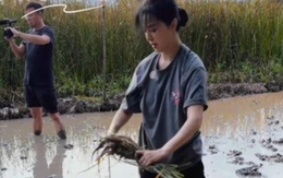 Hết cứu Phạm Băng Băng