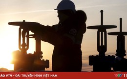 OPEC dự báo nhu cầu dầu mỏ toàn cầu tiếp tục tăng trong năm 2027