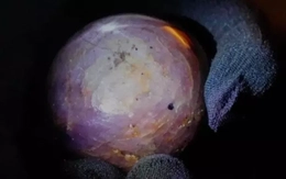 Công bố viên sapphire sao tím quý hiếm lớn chưa từng thấy