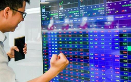 CTCK chỉ ra 4 nhóm ngành có thể hưởng lợi từ Nghị quyết 79