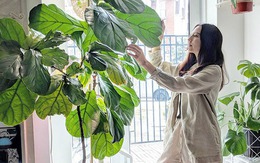 6 dấu hiệu nhà hợp long mạch, càng ở càng giàu