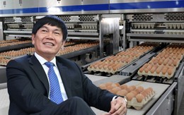 Hòa Phát bất ngờ thoái bớt vốn công ty nông nghiệp trước thềm niêm yết