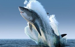 Giám đốc Đầu tư VinaCapital hé lộ hai nhóm cổ phiếu từng bị “bỏ quên” năm 2025 sẽ có "đất diễn" trong năm nay