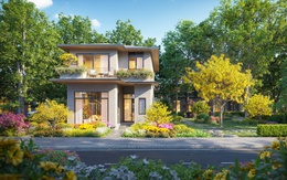 Rừng Mai – Mảnh ghép đầu tiên mở ra Mùa lễ hội tại Eco Retreat