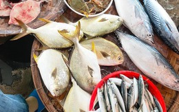 Người bán cá rất sợ bạn hỏi 5 câu này khi đi chợ