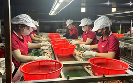 Tăng sức cạnh tranh cho doanh nghiệp Việt