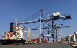 Cái Mép - Thị Vải liên tục đón tàu container trọng tải lớn trong ngày đầu năm 2026