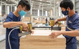 Mỹ bất ngờ hoãn tăng thuế với gỗ nhập khẩu theo Mục 232