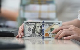 Những yếu tố ảnh hưởng tới tỷ giá USD năm 2026