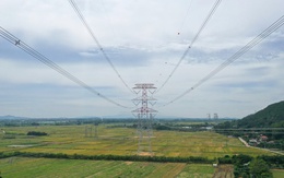 Kinh tế nhà nước và mệnh lệnh đổi mới