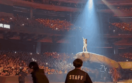 Cái kết của siêu concert "trăn khổng lồ" 700 tỷ: Đài Truyền hình Quốc gia ra thông báo quan trọng