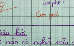 Từ nào trong tiếng Việt vừa ăn ngon, vừa đánh đau? - HSG Quốc gia cũng không biết!