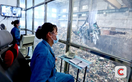 Làn sóng ‘săn rác’ từ phương Bắc: 1.000 lò đốt tại Trung Quốc đói rác, phải sang ĐNÁ để truy tìm